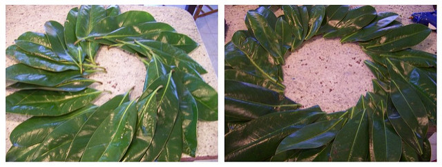 Picnik collage