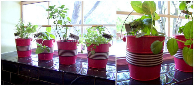 Picnik collage