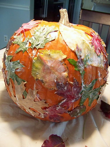 11-7-11 004