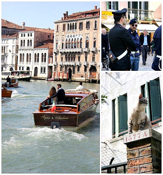 Hi Sugarplum | {Trip Report} Venice, Italy