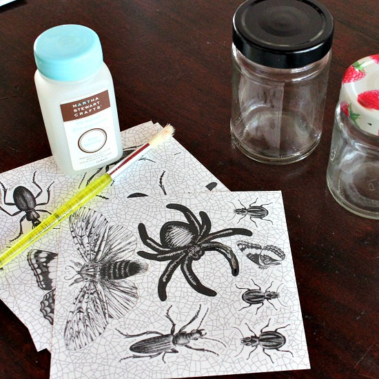 Hi Sugarplum | Halloween Bug Votives