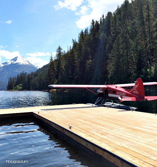 Hi Sugarplum | Ketchikan, Alaska