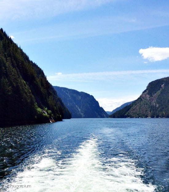 Hi Sugarplum | Ketchikan, Alaska