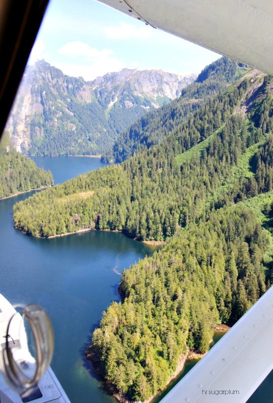 Hi Sugarplum | Ketchikan, Alaska