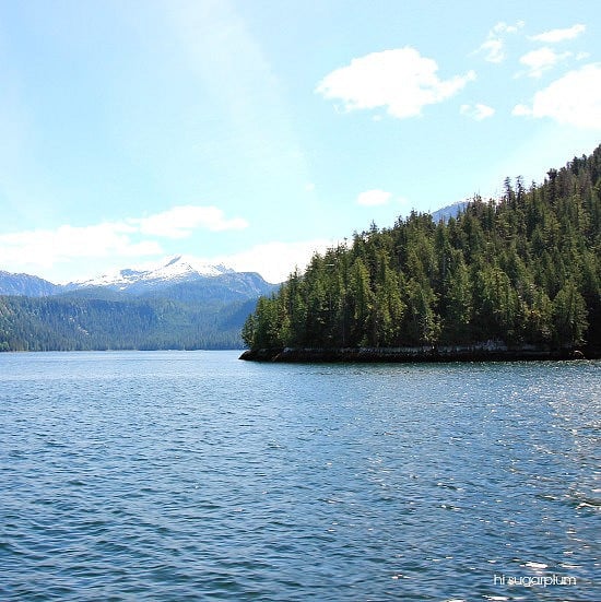 Hi Sugarplum | Ketchikan, Alaska