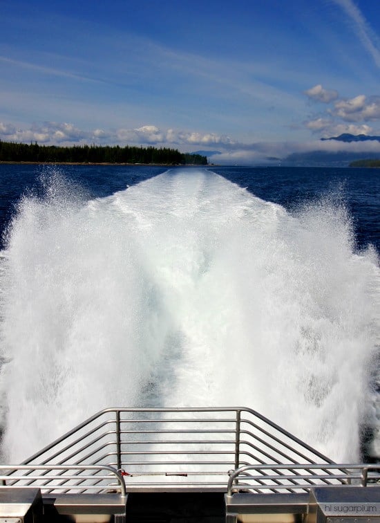 Hi Sugarplum | Ketchikan, Alaska