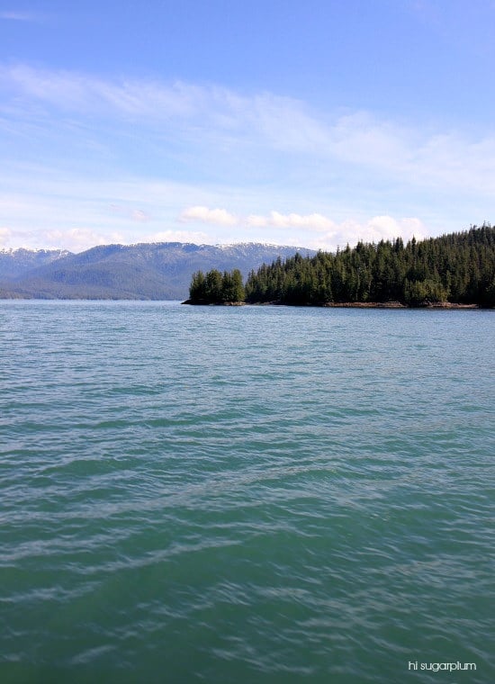 Hi Sugarplum | Ketchikan, Alaska