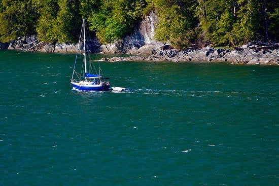 Hi Sugarplum | Ketchikan, Alaska