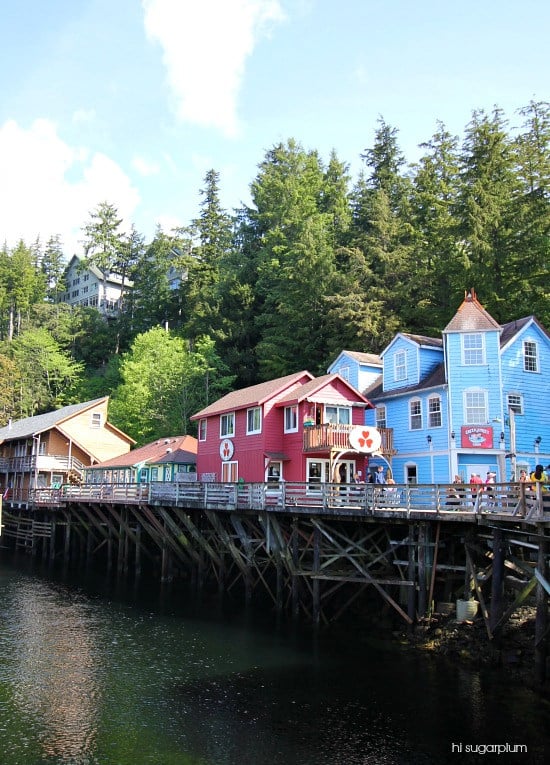 Hi Sugarplum | Ketchikan, Alaska