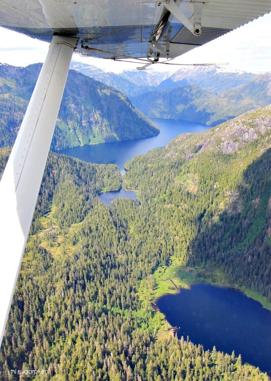 Hi Sugarplum | Ketchikan, Alaska