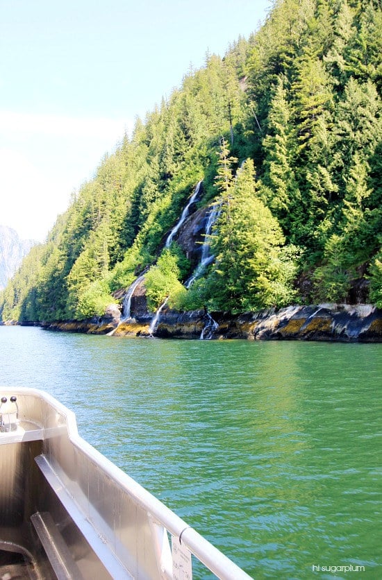 Hi Sugarplum | Ketchikan, Alaska