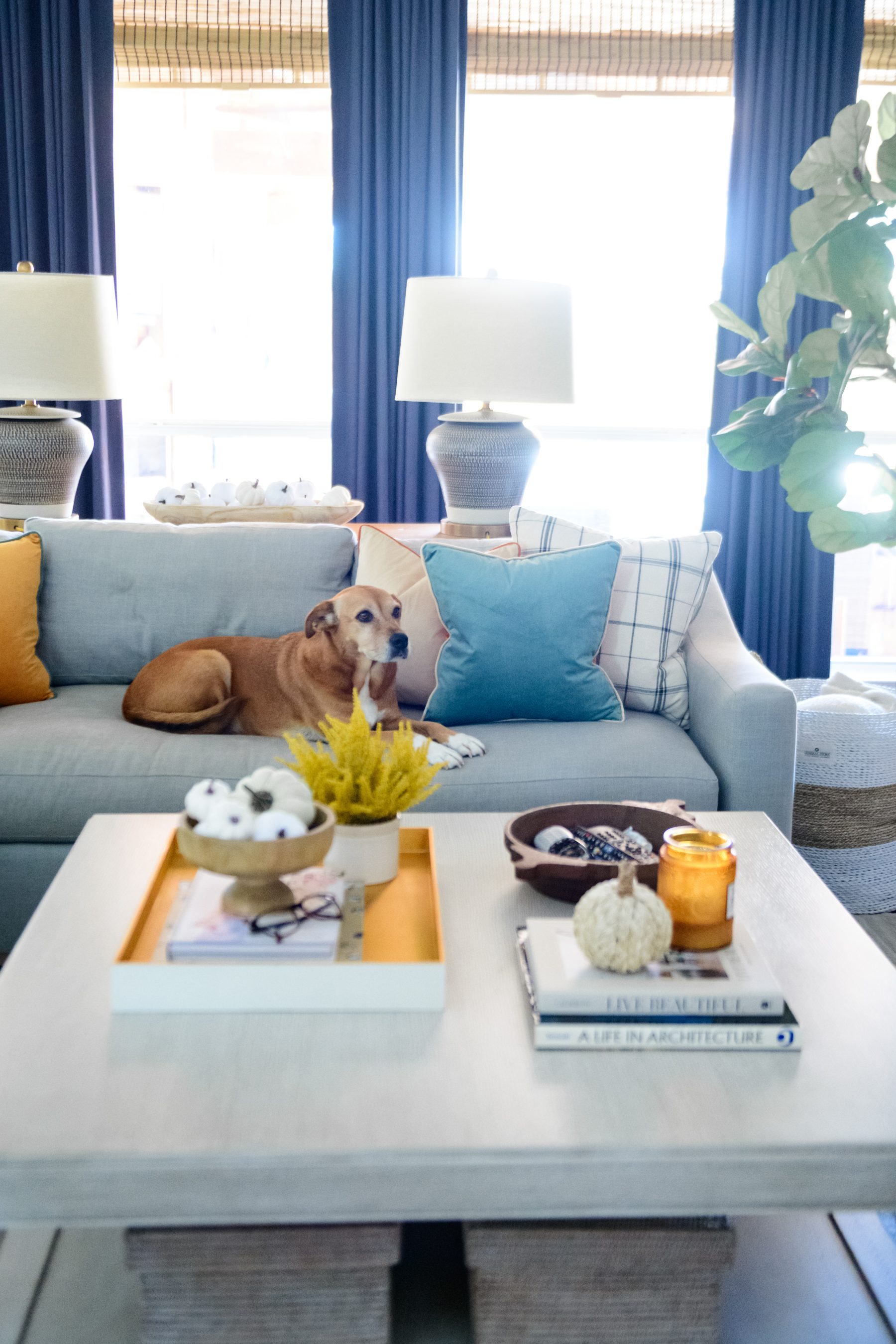 Sugarplum Fall Home Tour - Hi Sugarplum!