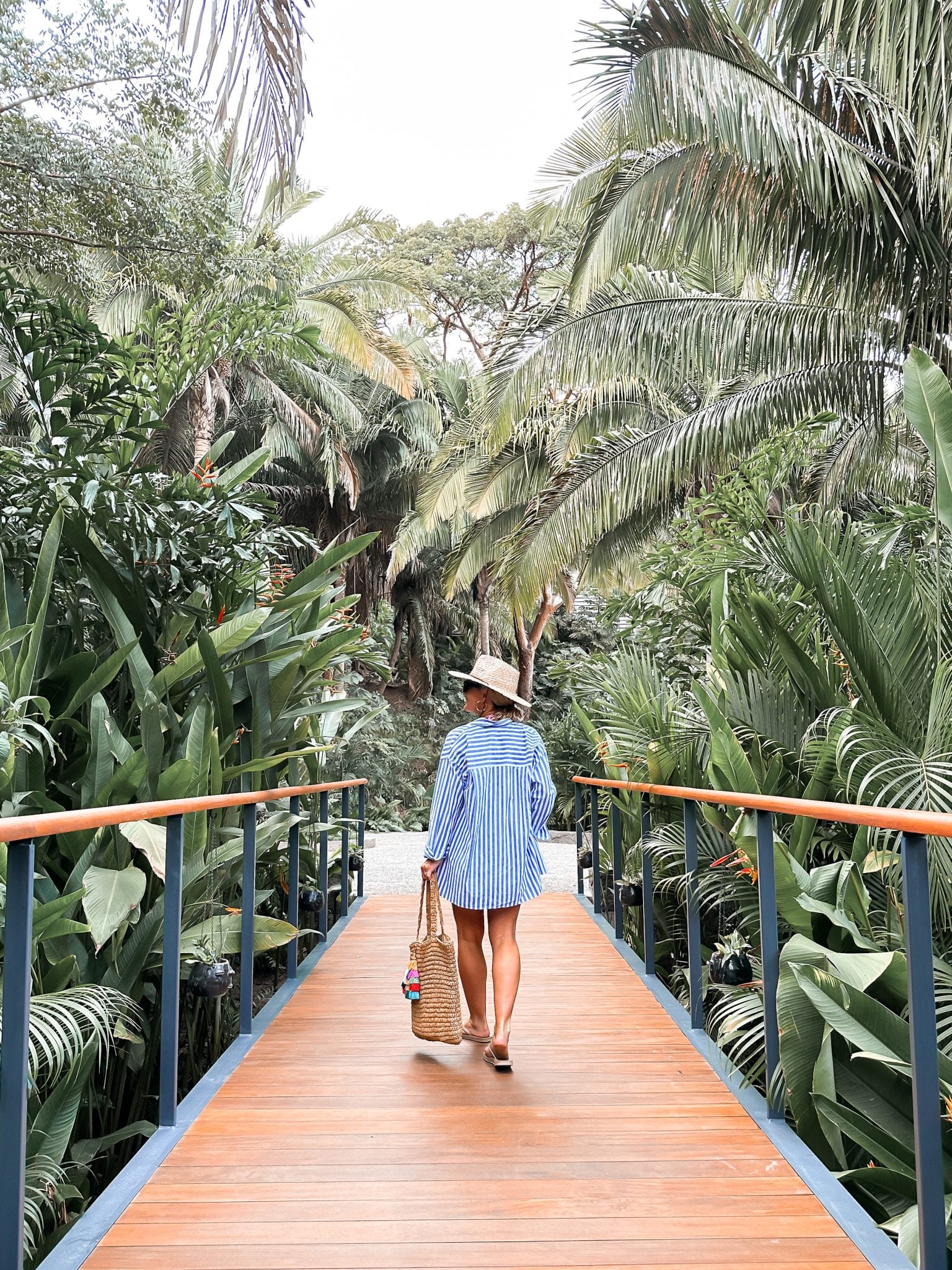 Vacation Essentials Hi Sugarplum