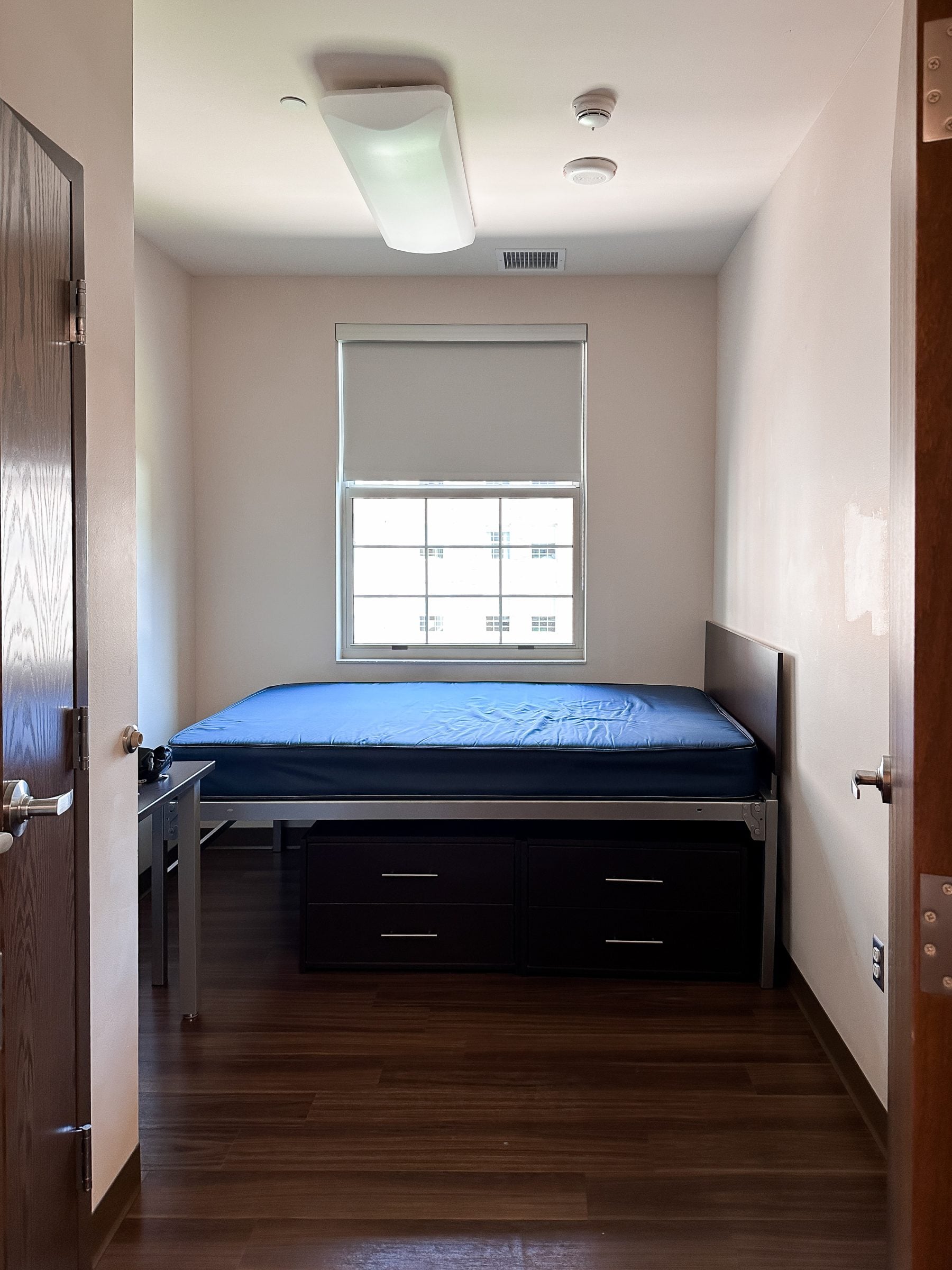 Dorm Room Essentials, Designs & Move-In Tips - Hi Sugarplum!
