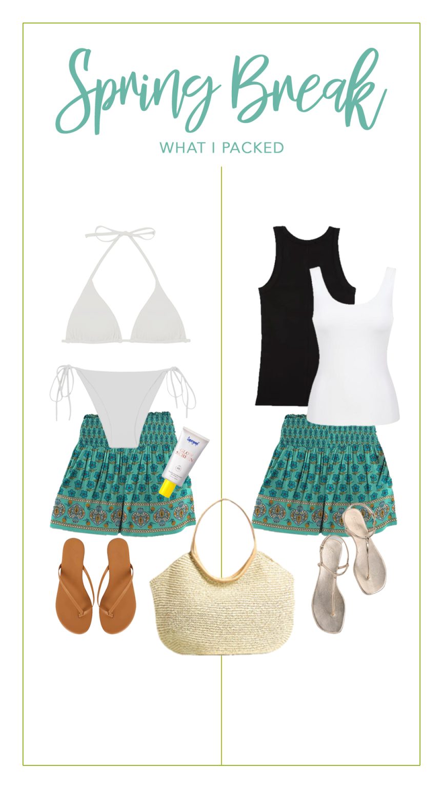Spring Break Recovery Kit What I Packed for Spring Break! - Hi Sugarplum!