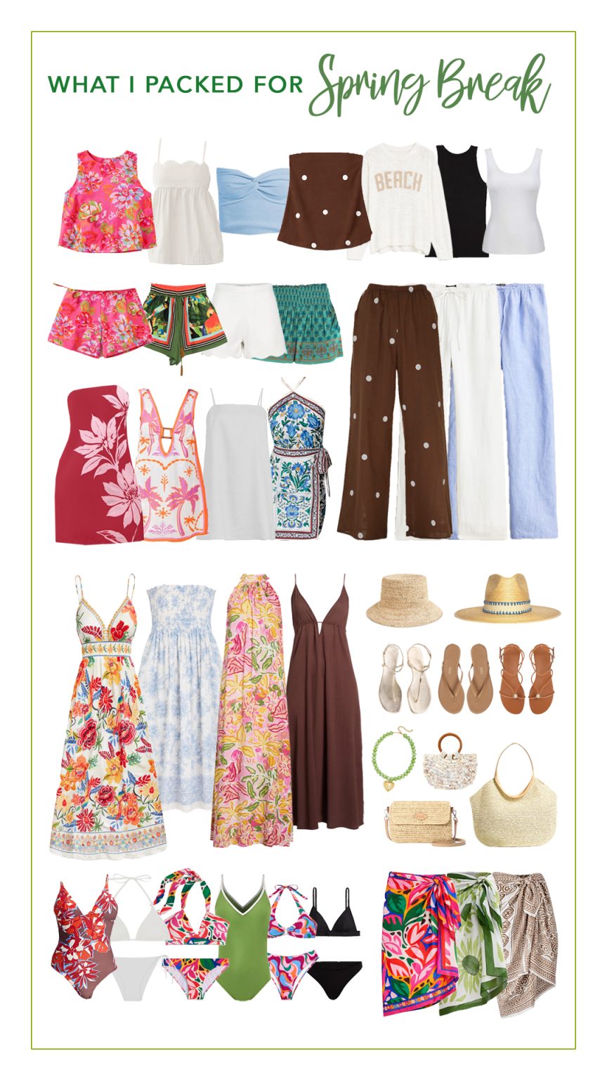 Spring Break Recovery Kit What I Packed for Spring Break! - Hi Sugarplum!